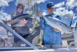 Bundaberg – weekly fishing report